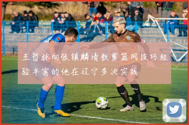 王哲林向张镇麟请教剪篮网技巧经验丰富的他在辽宁多次实践